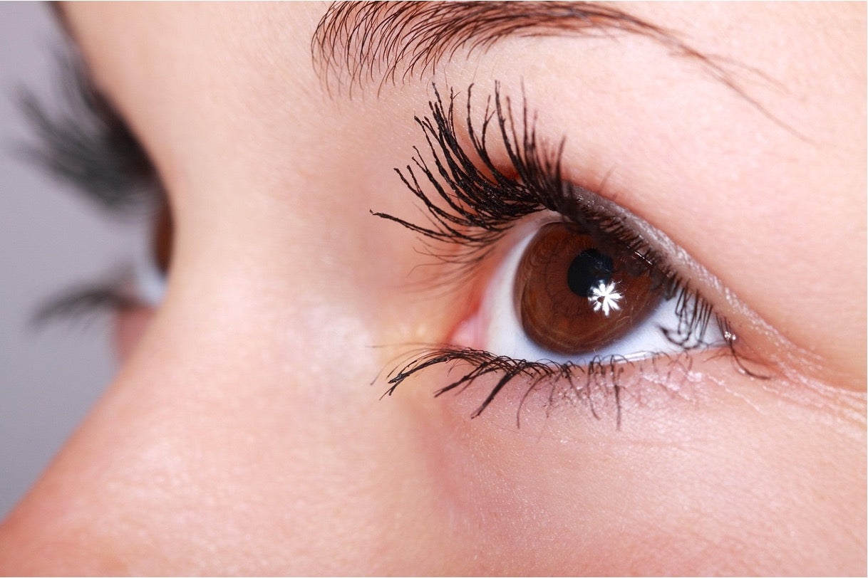 The Ordinary vs Scorolash vs Trybello Lash Serum: Price, Results & Reviews
