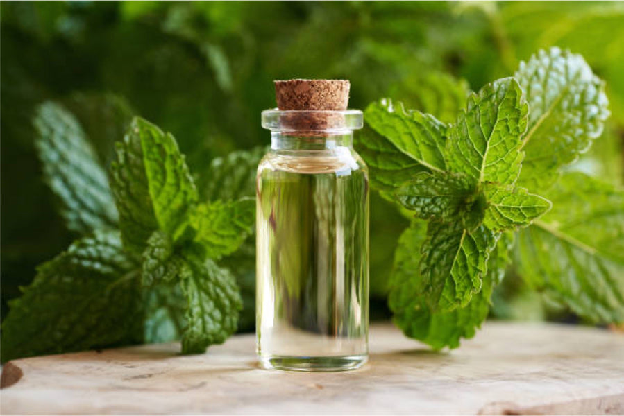 Peppermint Oil for Hair Growth: Benefits, Side Effects, Before & After