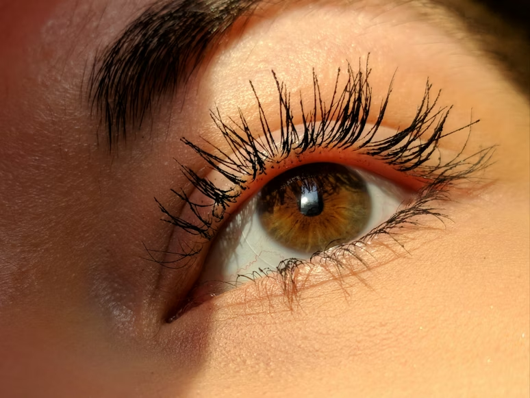 Babe Lash vs Terez & Honor vs Trybello Lash Serums: Prices, Results & Reviews