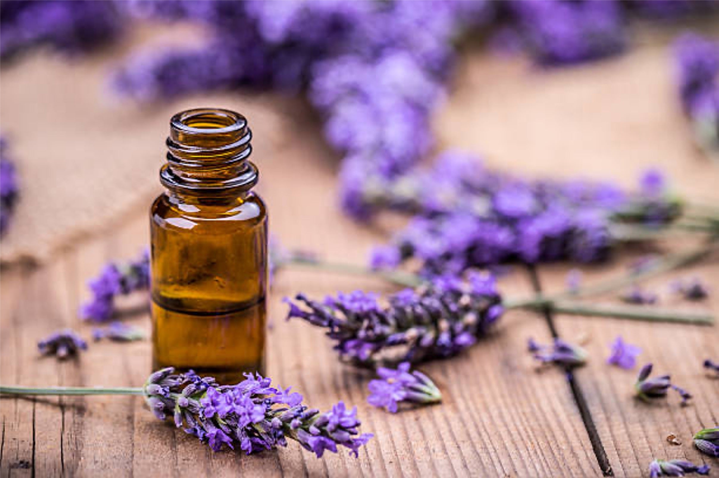 Lavender Essential Oil for Hair Growth: Efficacy & How to Use It