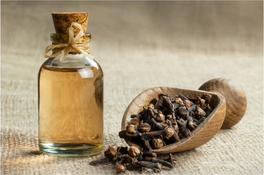 Clove Oil for Hair Growth: Benefits & How to Use It?