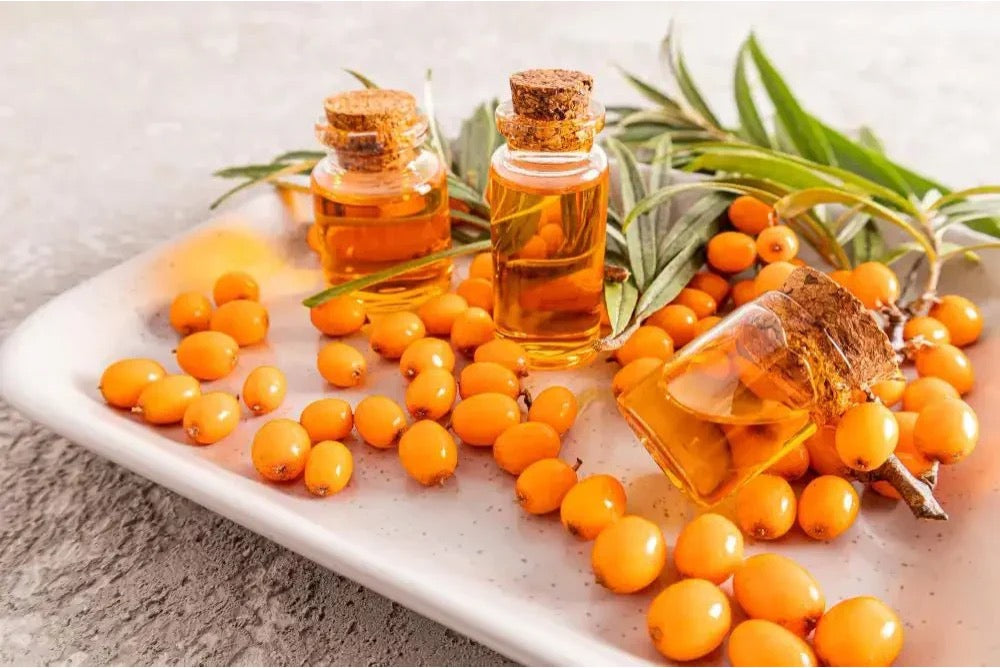 Sea Buckthorn Oil for Hair Growth: Benefits & How to Use It