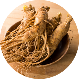 Ginseng